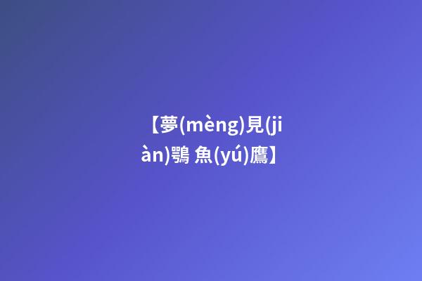 【夢(mèng)見(jiàn)鶚 魚(yú)鷹】